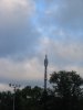 IMG_8731_800x600.jpg
