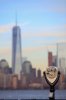 ny-5.jpg