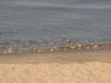 PICT0108.JPG