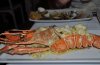 DSC_02820.JPG