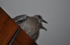 DSC_02570.JPG