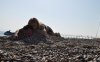 DSC_01251111.JPG