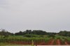 DSC_0216__599_x_398_.jpg