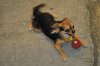 DSC_0278__599_x_398_.jpg