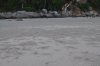 DSC_0186__599_x_398_.jpg