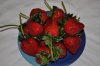 DSC_018__599_x_398_.jpg