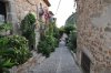 DSC_0525__599_x_398_.jpg