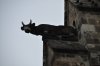 DSC_0989__599_x_398_.jpg