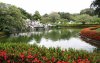 IMG_3943.JPG