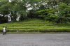 _DSC008567__600_x_399_.jpg
