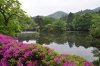 _DSC0564__600_x_399_.jpg