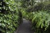 _DSC0570__600_x_399_.jpg