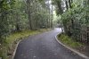 _DSC0588__600_x_399_.jpg
