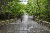 _DSC0620__600_x_399_.jpg