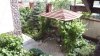 P1140579__600_x_337_.jpg